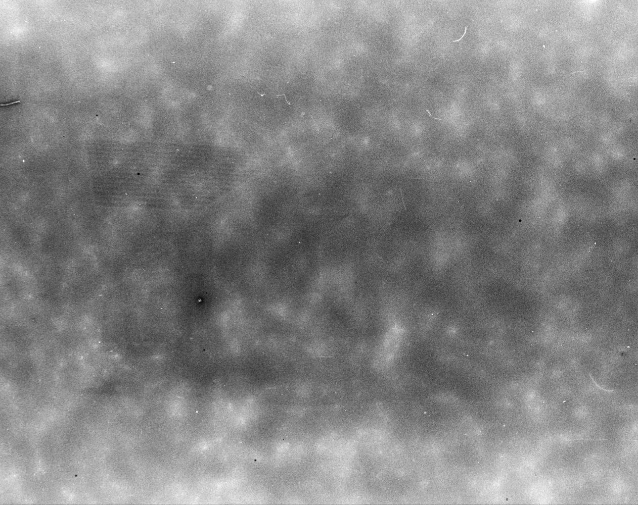 Univex-00-image